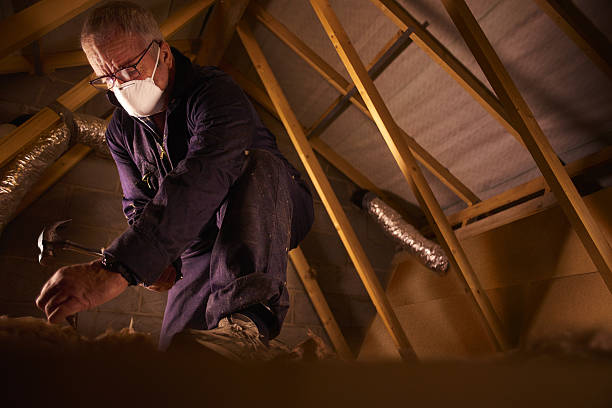 Types of Insulation We Offer in Seaford, DE